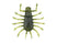 #02 Watermelon Seed
