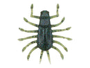 DEPS WIGGLE BUG-5