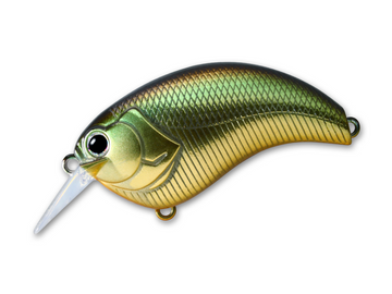 Buy 12-golden-shiner DEPS EVOKE SQUAREBILL CRANKBAIT