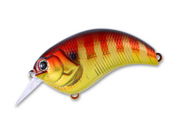 Buy 23-red-gill DEPS EVOKE SQUAREBILL CRANKBAIT