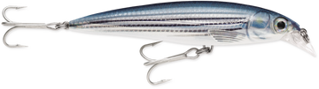 Buy mullet RAPALA X-RAP SALTWATER