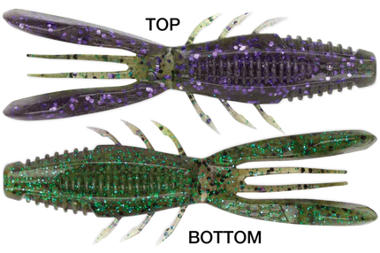 RAPALA CRUSH CITY BRONCO BUG