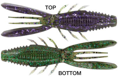 RAPALA CRUSH CITY BRONCO BUG