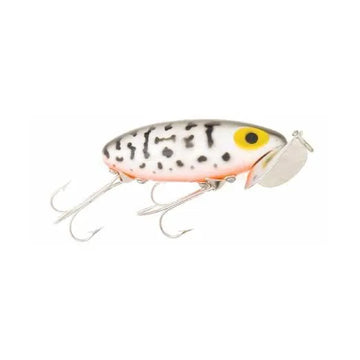 Buy coachdog-orange-belly ARBOGAST JITTERBUG
