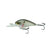 Ghost Pro Shad