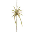 HIDEUP COIKE MICRO-6