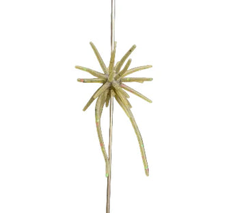 Buy 302-green-pumpkin-candy-us HIDEUP COIKE MICRO