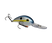 Sexy Shad