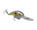 Chartreuse Shad