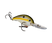 Olive Shad