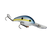 Sexy Shad