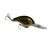 Barfish