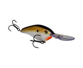 Buy tn-shad-2-0 STRIKE KING PRO MODEL 6XD CRANKBAIT
