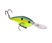 Chartreuse Sexy Shad