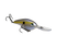 Chartreuse Shad