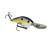Sexy Shad