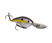 Chartreuse Shad