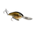 Barfish