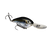 Natural Shad