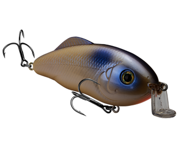 Buy oyster STRIKE KING HYBRID HUNTER JR CRANKBAIT
