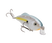 Sexy Shad 2.0