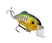 Phantom Perch
