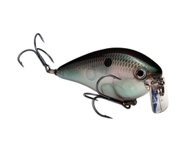 Buy green-gizzard-shad STRIKE KING KVD 2.5 WAKE BAIT