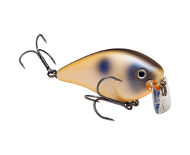 Buy oyster STRIKE KING KVD 2.5 WAKE BAIT