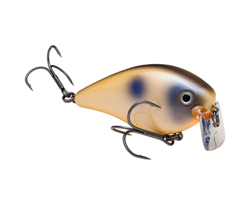 Buy oyster STRIKE KING KVD 2.5 WAKE BAIT