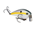 Sexy Shad