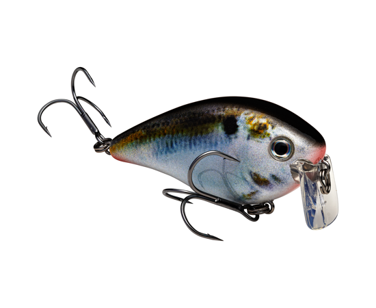 STRIKE KING KVD 2.5 WAKE BAIT