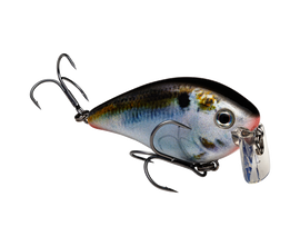 Buy natural-shad STRIKE KING KVD 2.5 WAKE BAIT