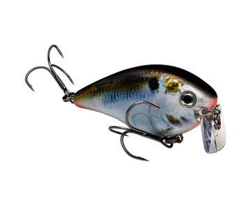Buy natural-shad STRIKE KING KVD 2.5 WAKE BAIT