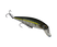 Sexy Ghost Minnow