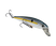 Sexy Shad