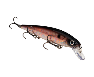 STRIKE KING KVD JERKBAIT 300