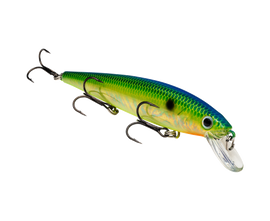Buy pro-citrus-shad STRIKE KING KVD JERKBAIT 300
