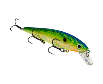 Buy pro-citrus-shad STRIKE KING KVD JERKBAIT 300