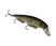 Sexy Ghost Minnow