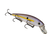 Chart Shad