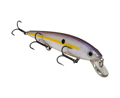 STRIKE KING KVD JERKBAIT 300