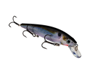 STRIKE KING KVD JERKBAIT 300-20