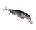 Natural Shad