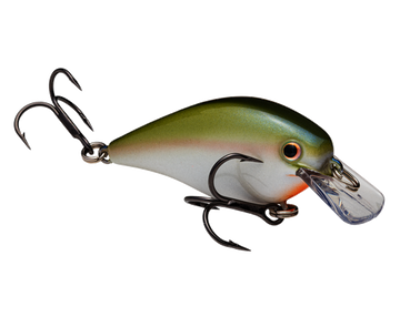 Buy the-shizzle STRIKE KING KVD 1.0 SQUAREBILL