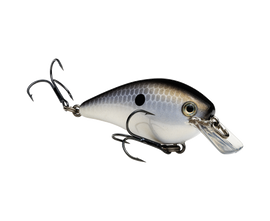 Buy gizzard-shad STRIKE KING KVD 1.0 SQUAREBILL CRANKBAIT