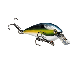 Buy chrome-sexy-shad STRIKE KING KVD 1.0 SQUAREBILL CRANKBAIT