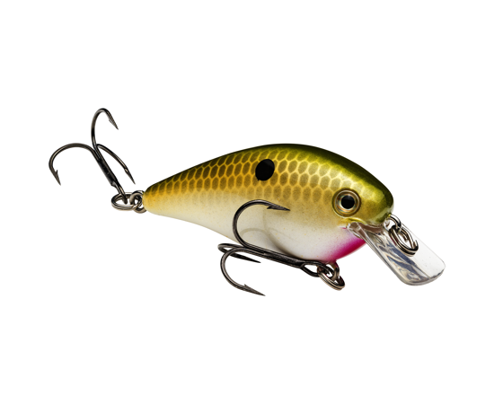 STRIKE KING KVD 1.0 SQUAREBILL CRANKBAIT