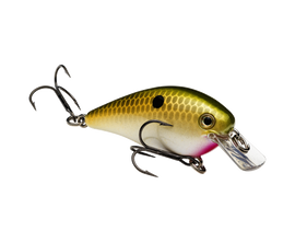 Buy tn-shad STRIKE KING KVD 1.0 SQUAREBILL CRANKBAIT