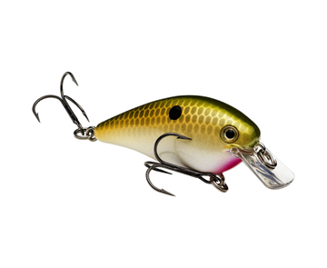 Buy tennesee-shad STRIKE KING KVD 1.0 SQUAREBILL