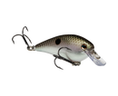 STRIKE KING KVD 1.0 SQUAREBILL CRANKBAIT-11